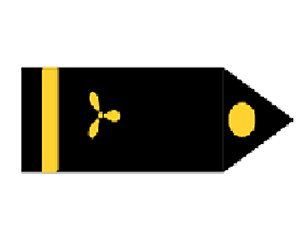 Engine Officer Icon